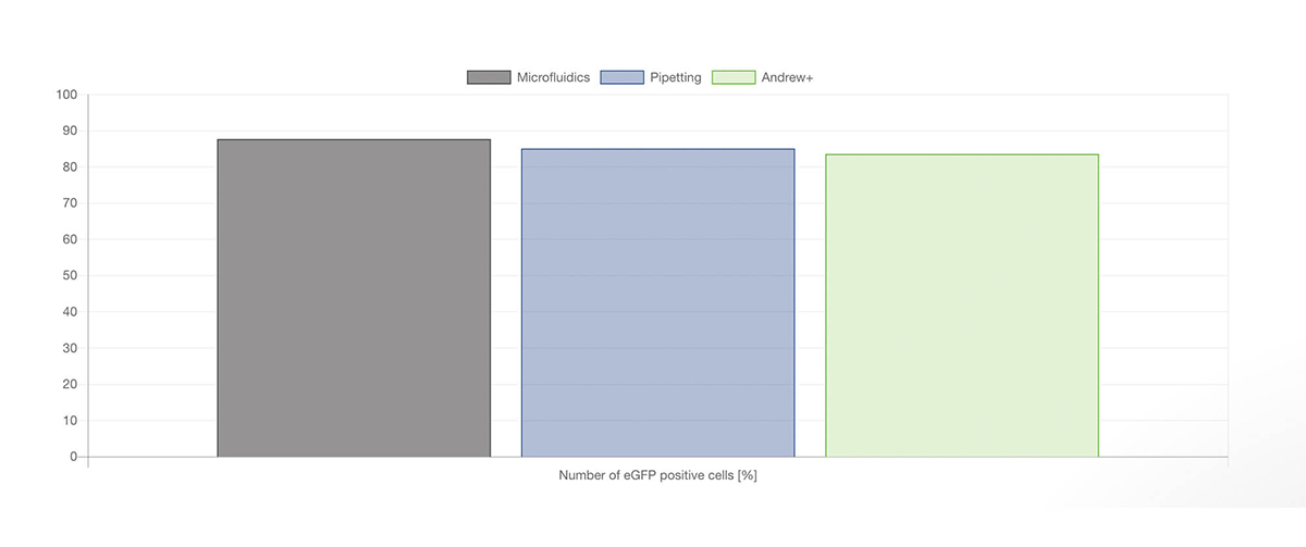 Andrew+ provides comparable results to manual pipetting and microfluidics-based methods regarding LNP characterization