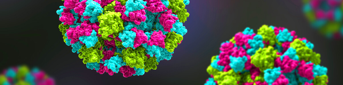 WATERS: The Duality of Sizing: Resolving Complex Biomolecules with Slalom Chromatography  & SEC