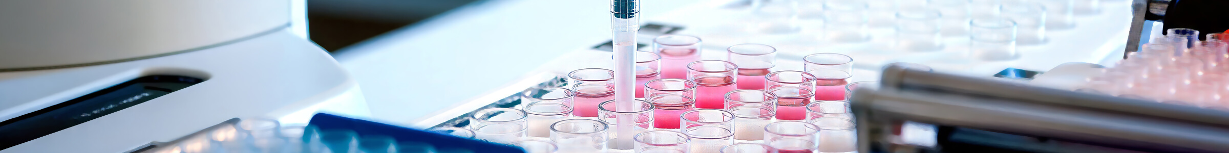 lp-banner-andrew-plus-12-channel-pipette.jpg