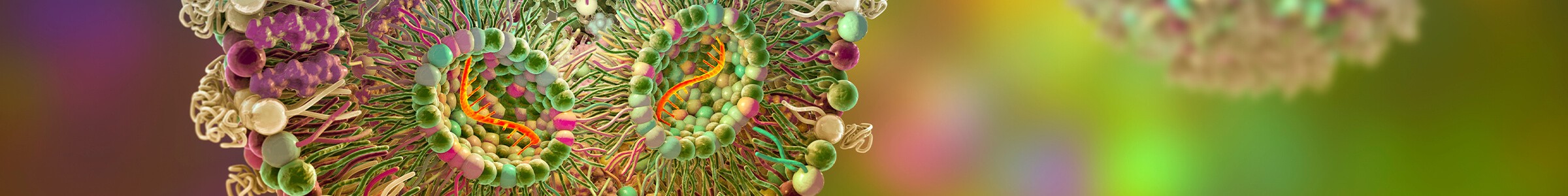 lp-banner-lipid-nanoparticle-mrna-vaccine.jpg
