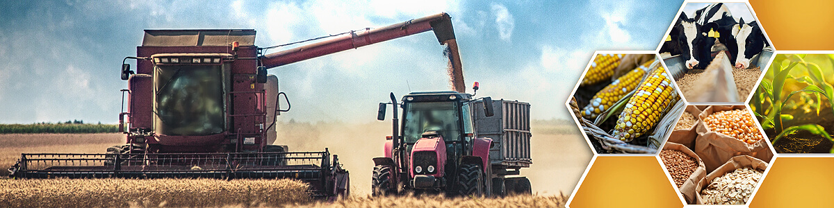 Various agricultural imagery of plants and animals